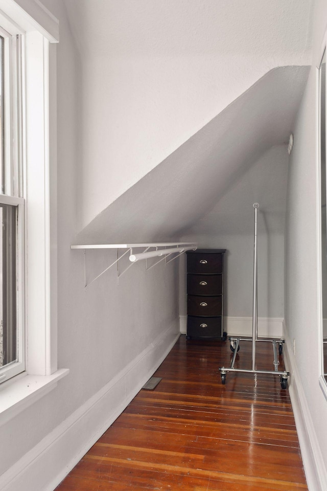 walk in closet featuring hardwood / wood-style floors