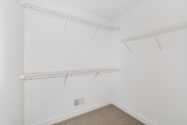 spacious closet featuring carpet floors