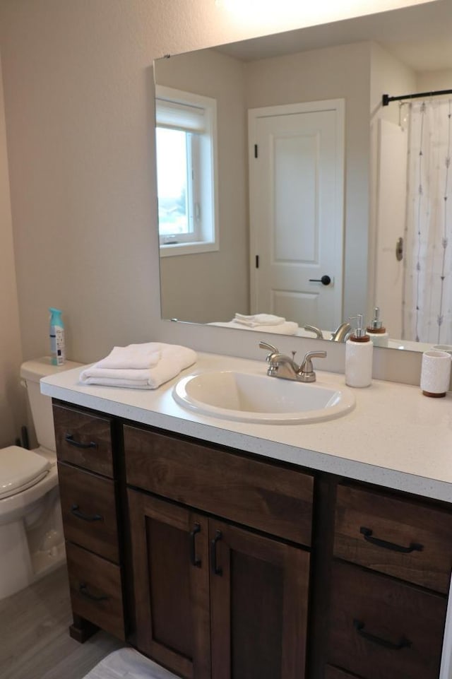 bathroom featuring toilet, large vanity, and hardwood / wood-style flooring