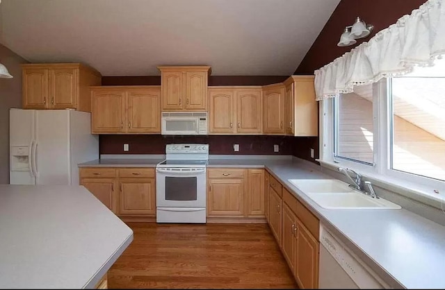 kitchen featuring white appliances, sink, light brown cabinetry, and hardwood / wood-style floors