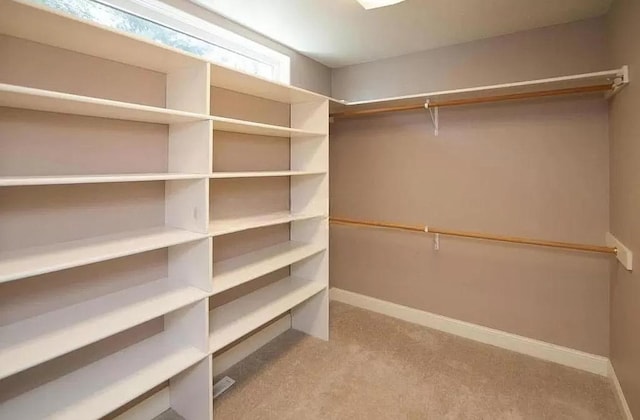 walk in closet with light colored carpet