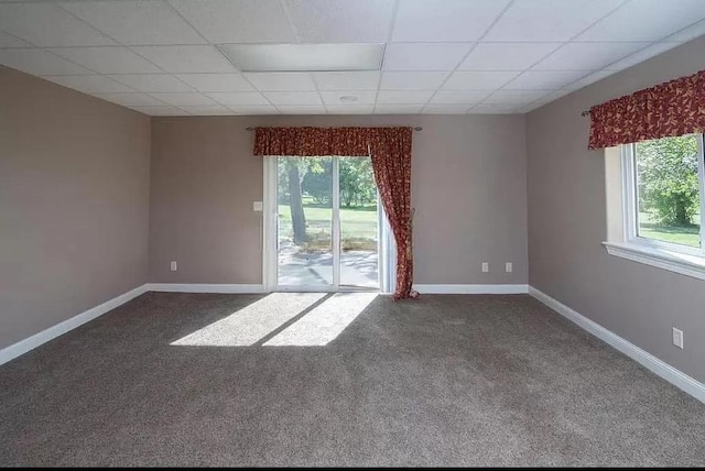 spare room featuring carpet floors and a drop ceiling