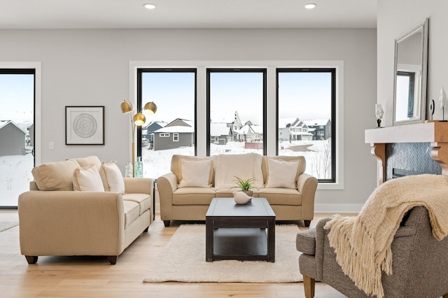 living room with light hardwood / wood-style floors and a healthy amount of sunlight