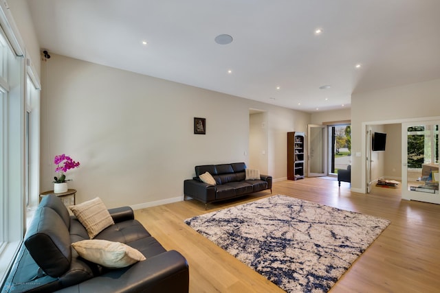 living room featuring light hardwood / wood-style flooring