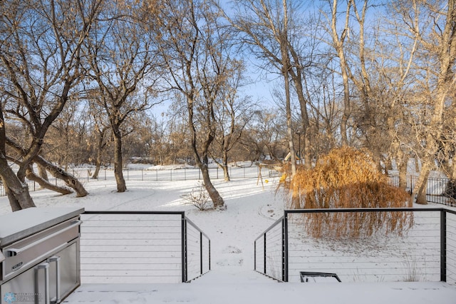 view of yard covered in snow