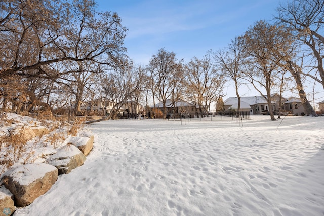 view of yard covered in snow