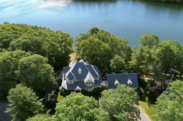 aerial view with a water view