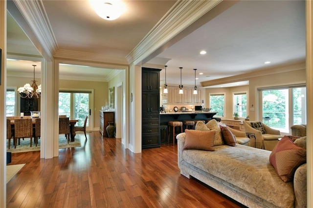 living room featuring a notable chandelier, ornamental molding, and dark wood-type flooring