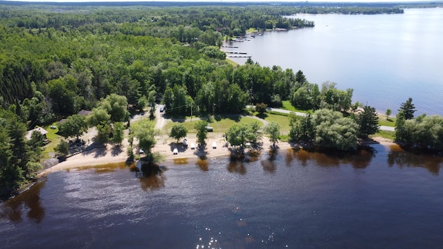 bird's eye view with a water view