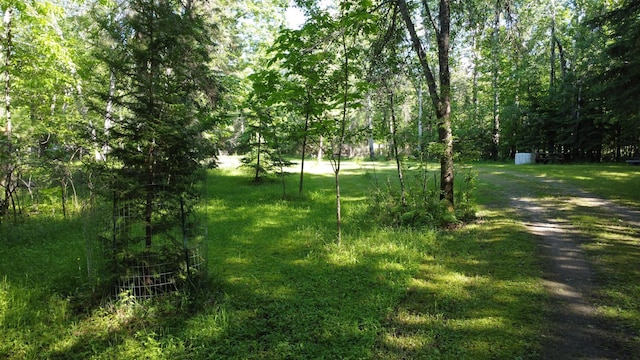 view of yard with a storage unit