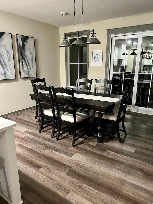 dining room with hardwood / wood-style flooring