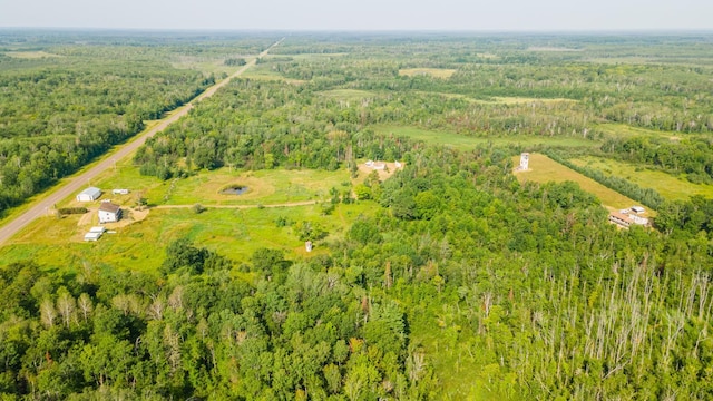 bird's eye view with a view of trees