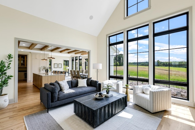 living room with plenty of natural light, light hardwood / wood-style floors, and high vaulted ceiling