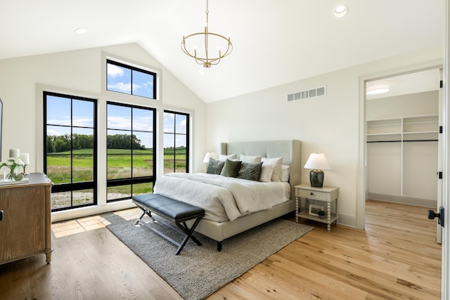 bedroom featuring light wood-type flooring, multiple windows, and a spacious closet