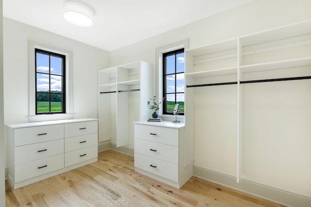 walk in closet with light hardwood / wood-style flooring