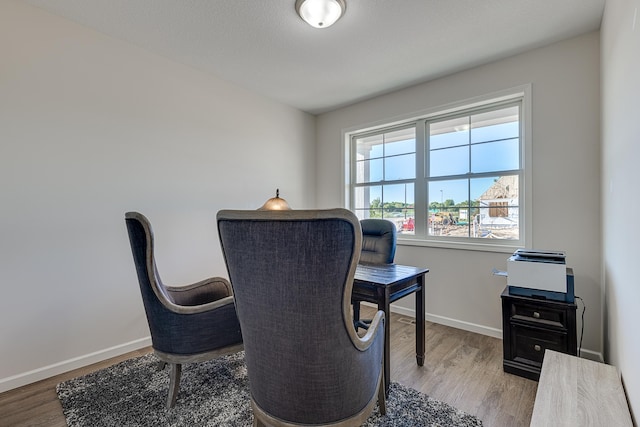 home office featuring light hardwood / wood-style flooring