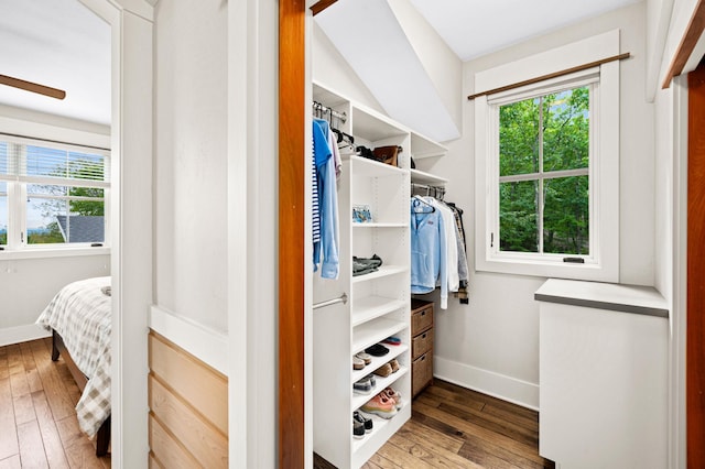 walk in closet with hardwood / wood-style floors