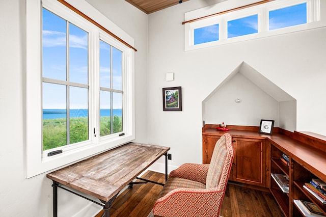 home office with a water view and dark wood-type flooring