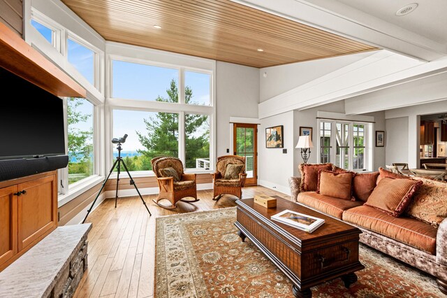 living room featuring a high ceiling, hardwood / wood-style floors, and a wealth of natural light