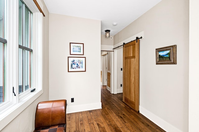 hall featuring a barn door and dark hardwood / wood-style flooring