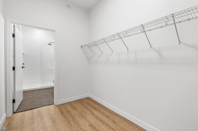 walk in closet with wood-type flooring