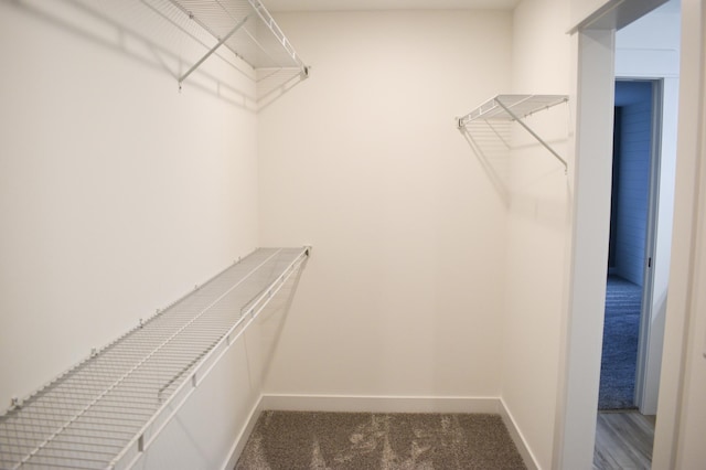 walk in closet featuring carpet floors