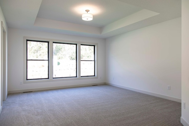 carpeted spare room featuring a tray ceiling