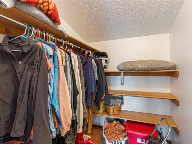 spacious closet featuring wood-type flooring