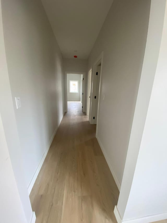 hallway featuring hardwood / wood-style floors