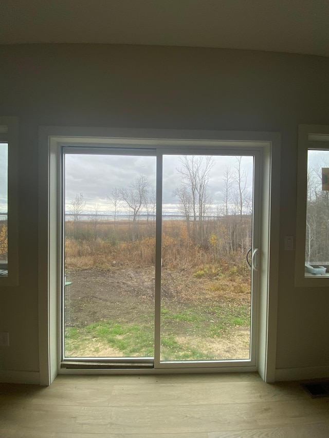 doorway to outside featuring plenty of natural light and hardwood / wood-style floors