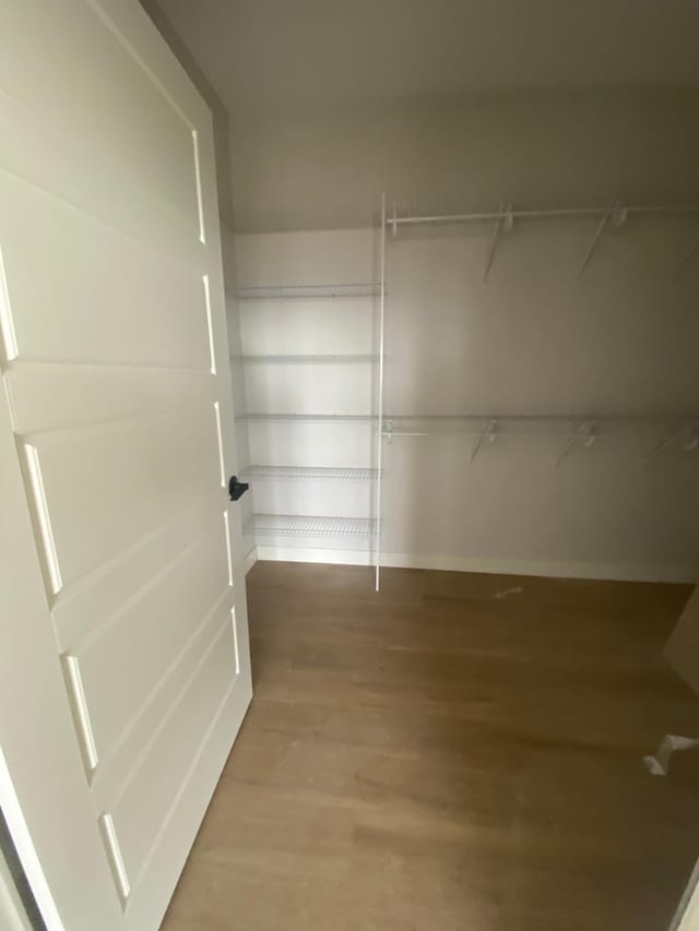 spacious closet featuring hardwood / wood-style flooring