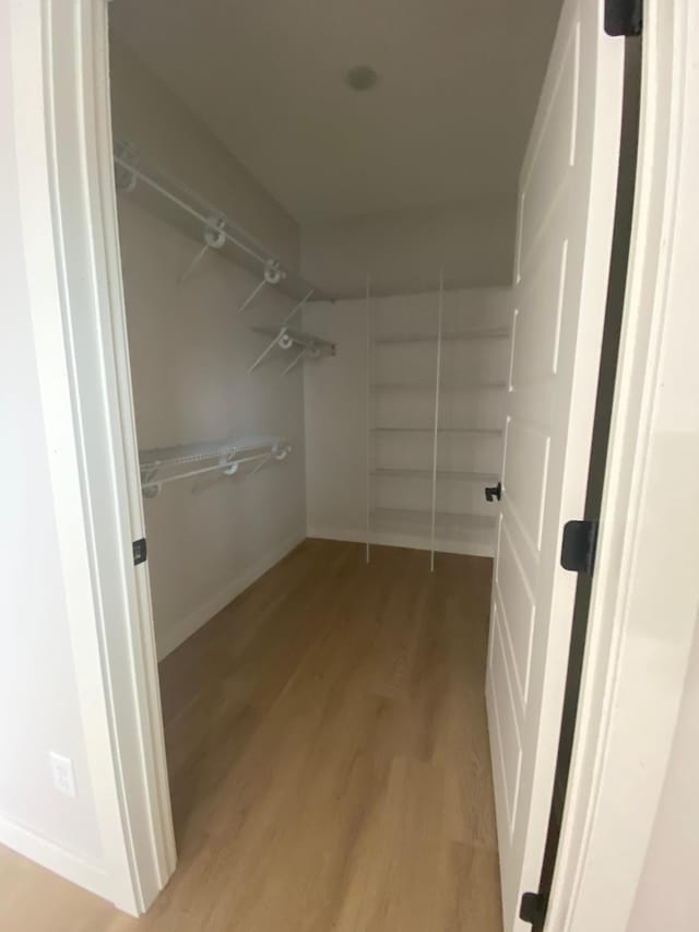 spacious closet with wood-type flooring