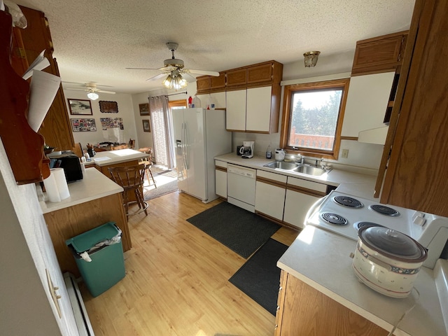 kitchen featuring ceiling fan, sink, a textured ceiling, white appliances, and light wood-type flooring