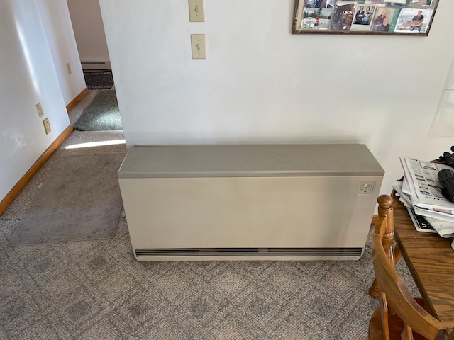 interior details featuring carpet floors and baseboard heating