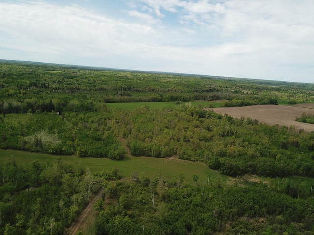 drone / aerial view with a rural view