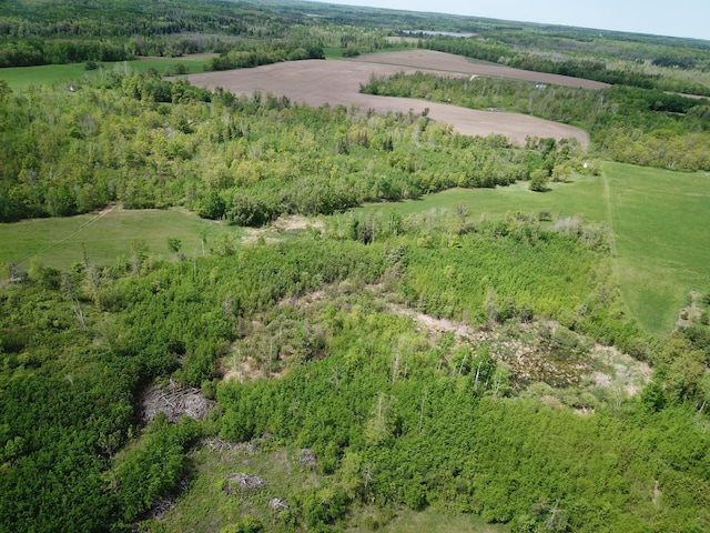 drone / aerial view with a rural view