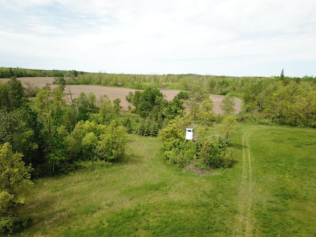 drone / aerial view with a rural view