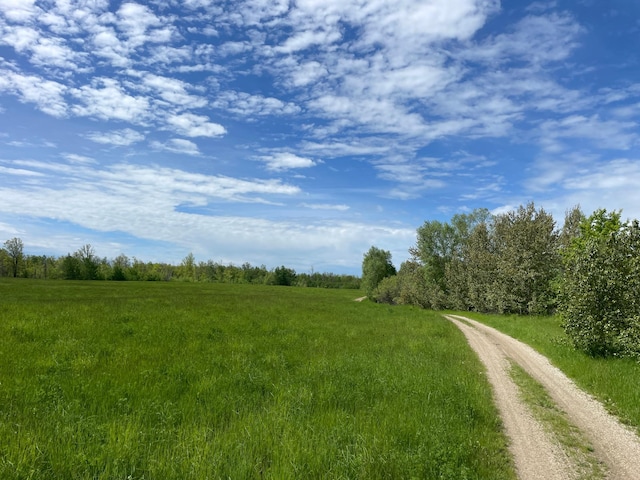 view of local wilderness with a rural view