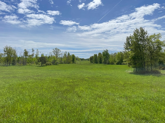 view of yard with a rural view