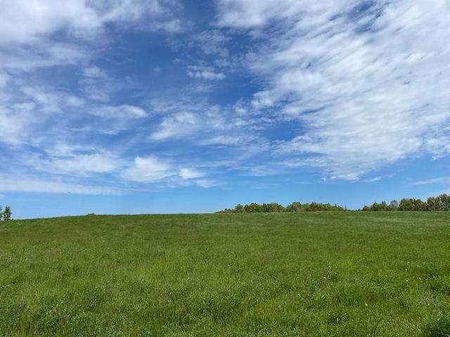 view of local wilderness with a rural view