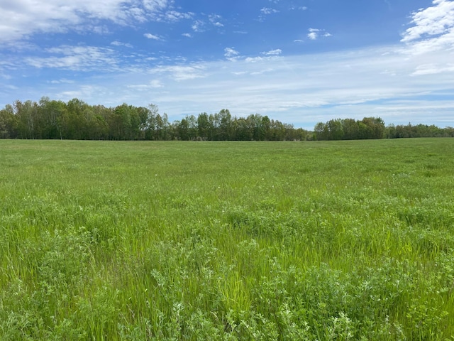 view of nature featuring a rural view