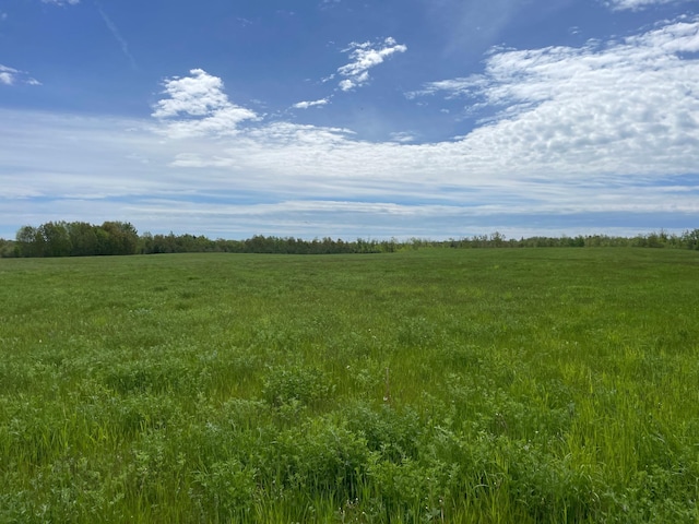 view of local wilderness featuring a rural view