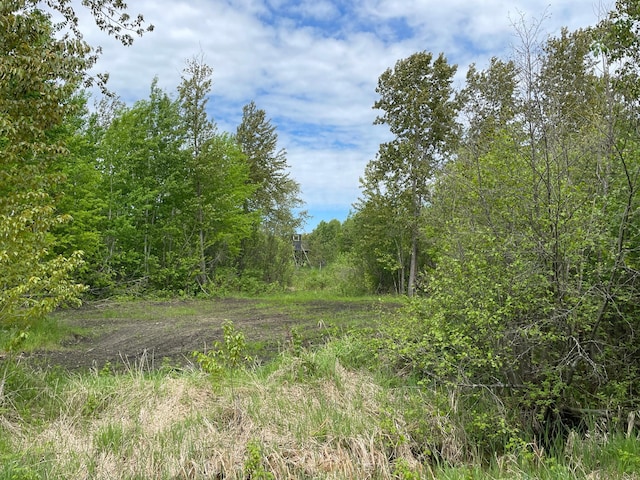 view of landscape