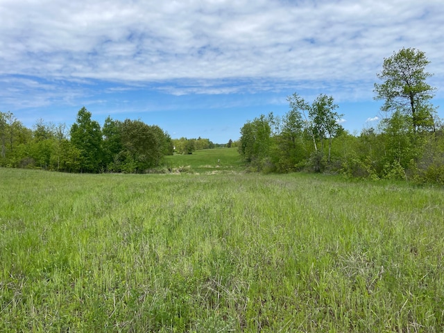 view of landscape with a rural view