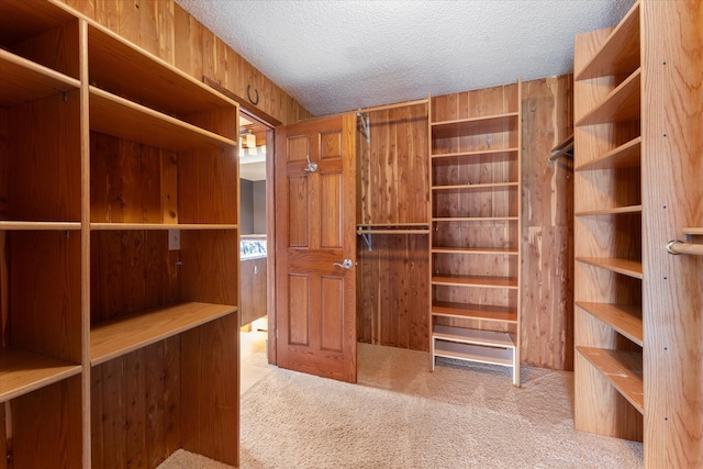 spacious closet featuring light carpet