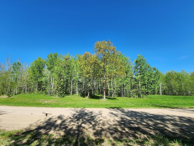 TBD Bear Tract Ln NE, Longville MN, 56655 land for sale