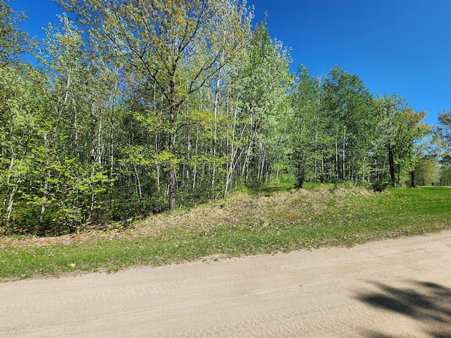 Listing photo 2 for TBD Bear Tract Ln NE, Longville MN 56655