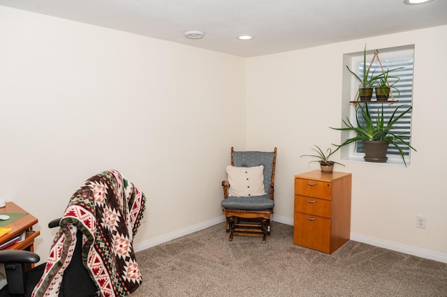 living area with light colored carpet