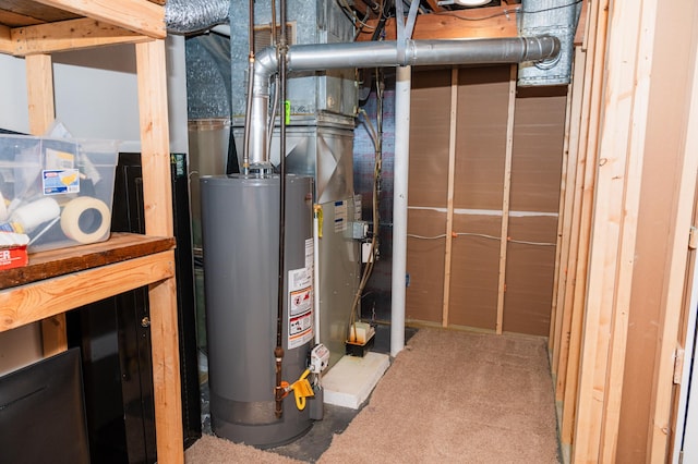 utility room with gas water heater