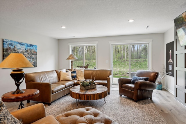 living room featuring a textured ceiling and light hardwood / wood-style floors